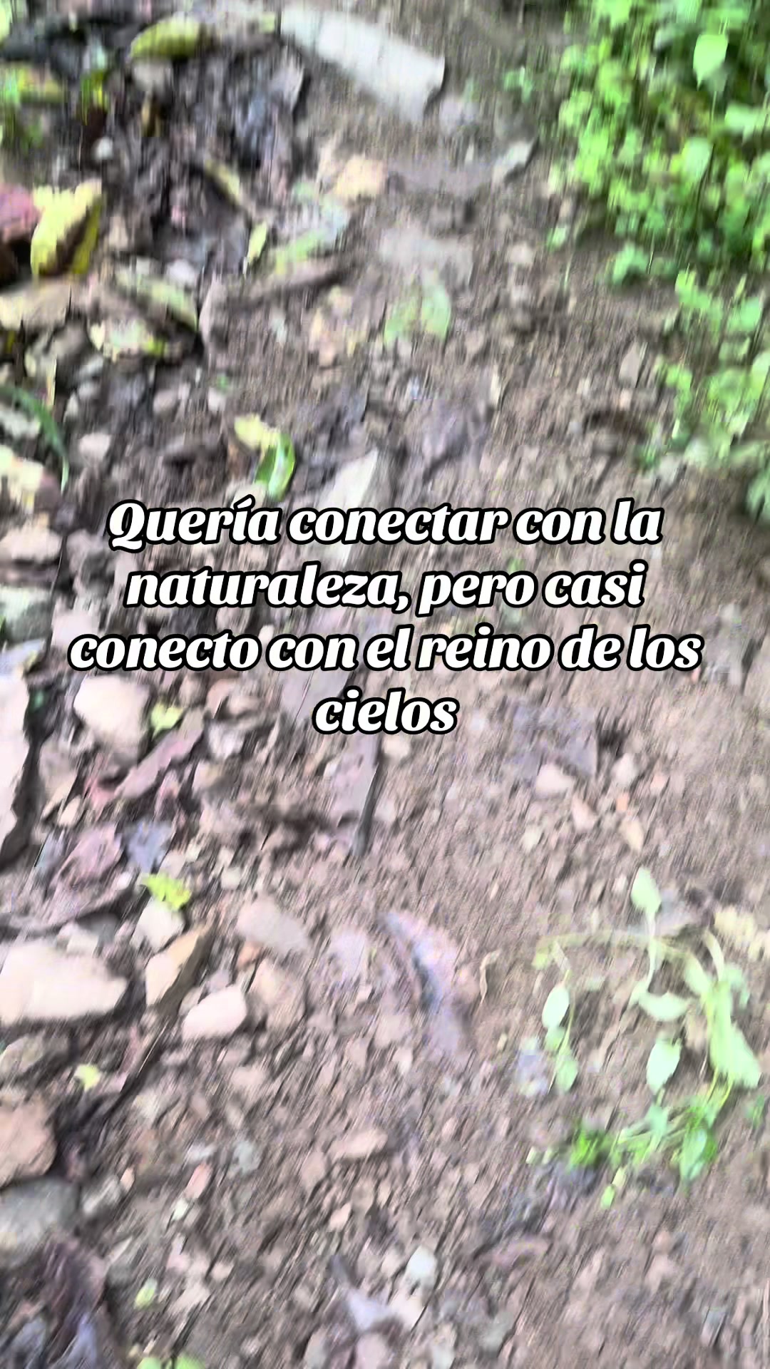 @Tatiana Criado