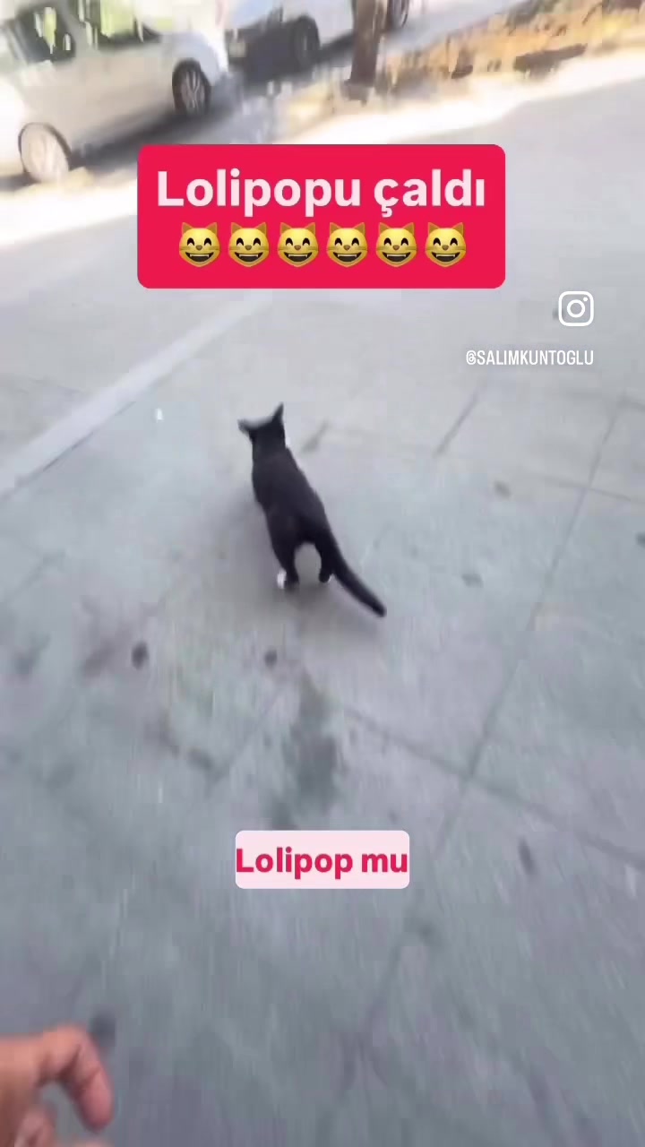 @Salim Kuntoğlu