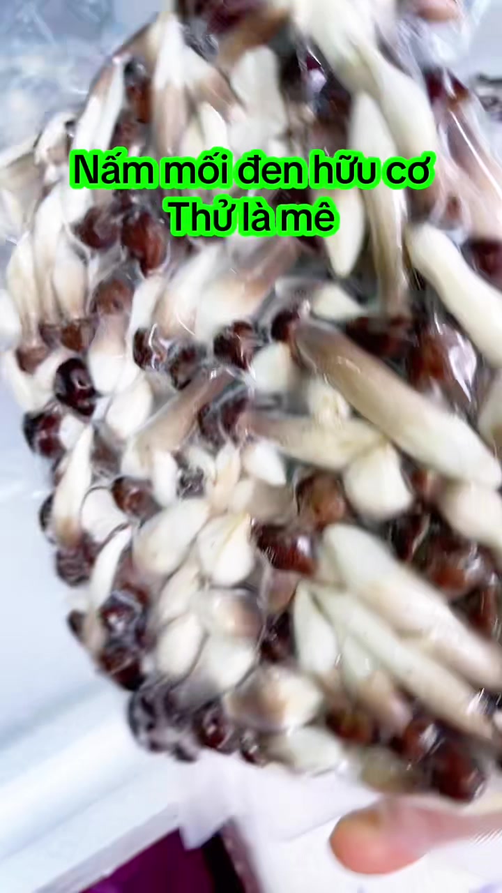 @nguyentuyet_79