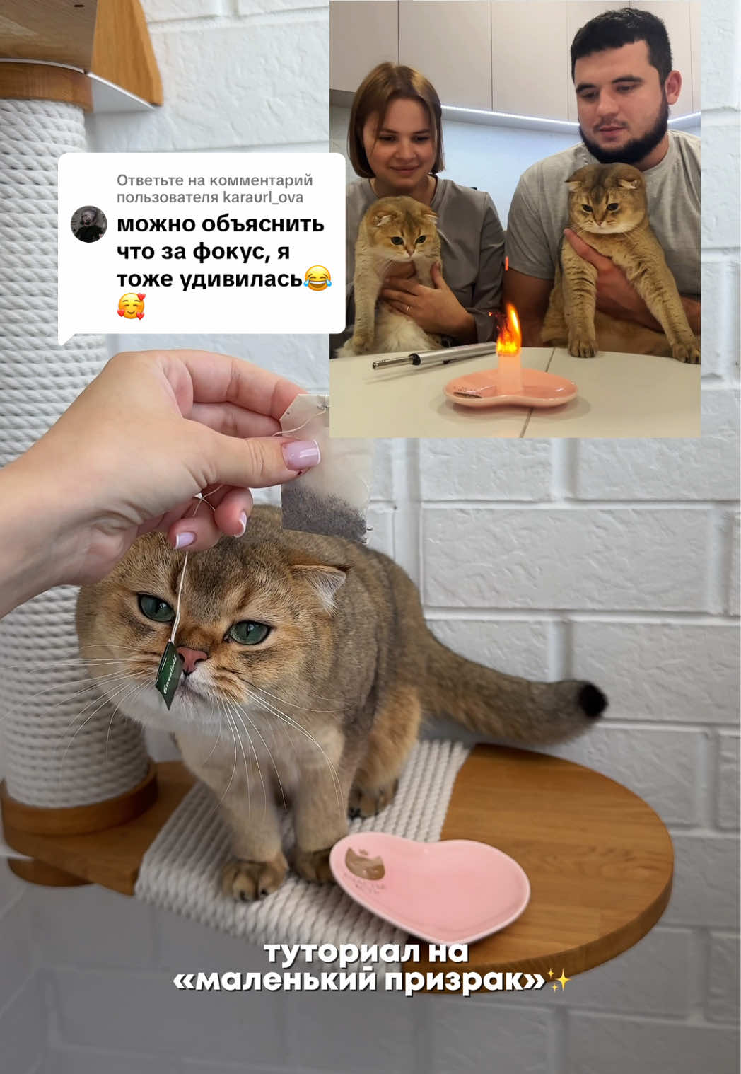 @Владочка