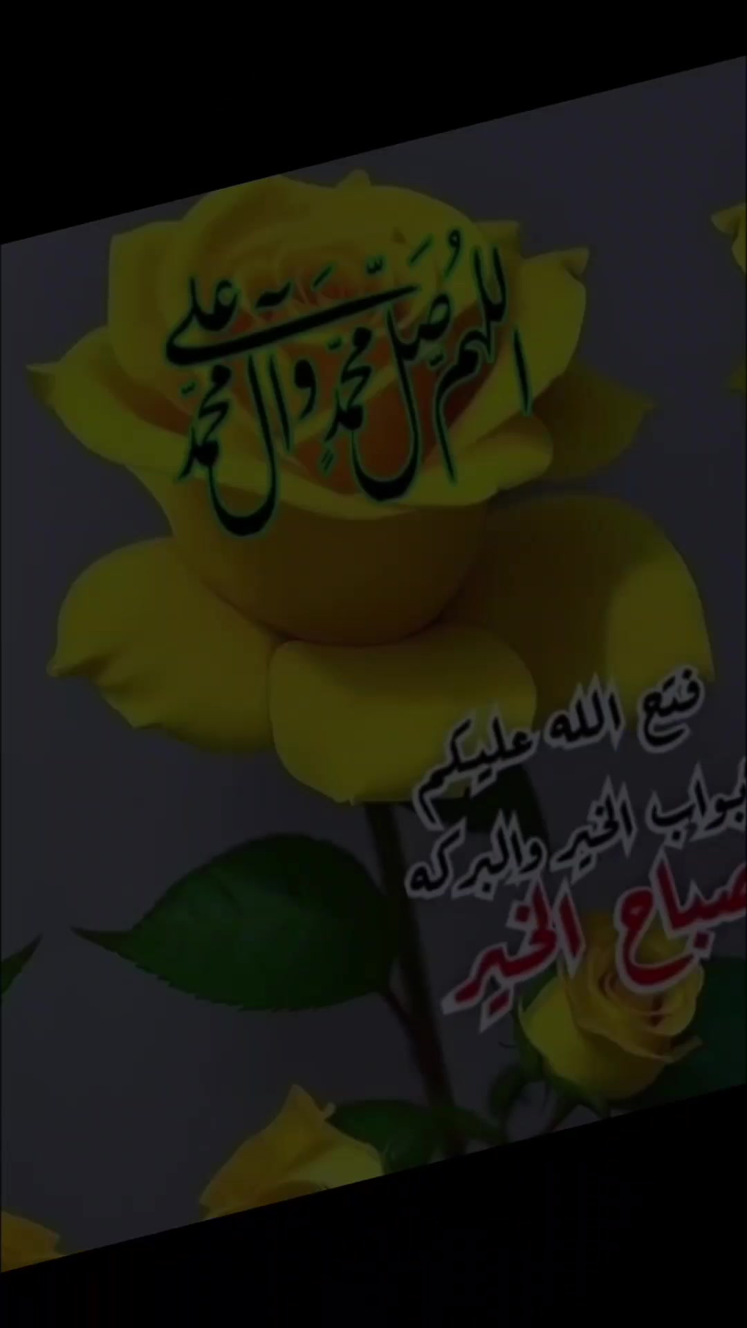 @عراقي هيبه🇮🇶