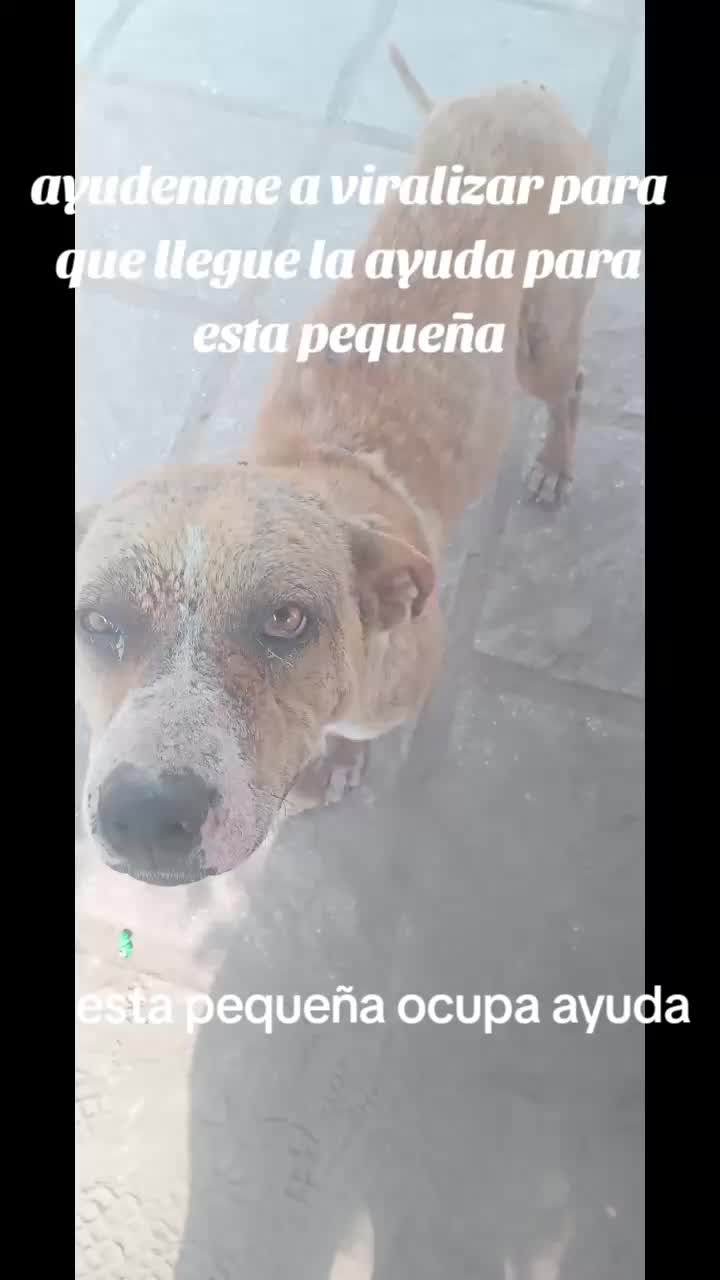 @Angela Aguirre