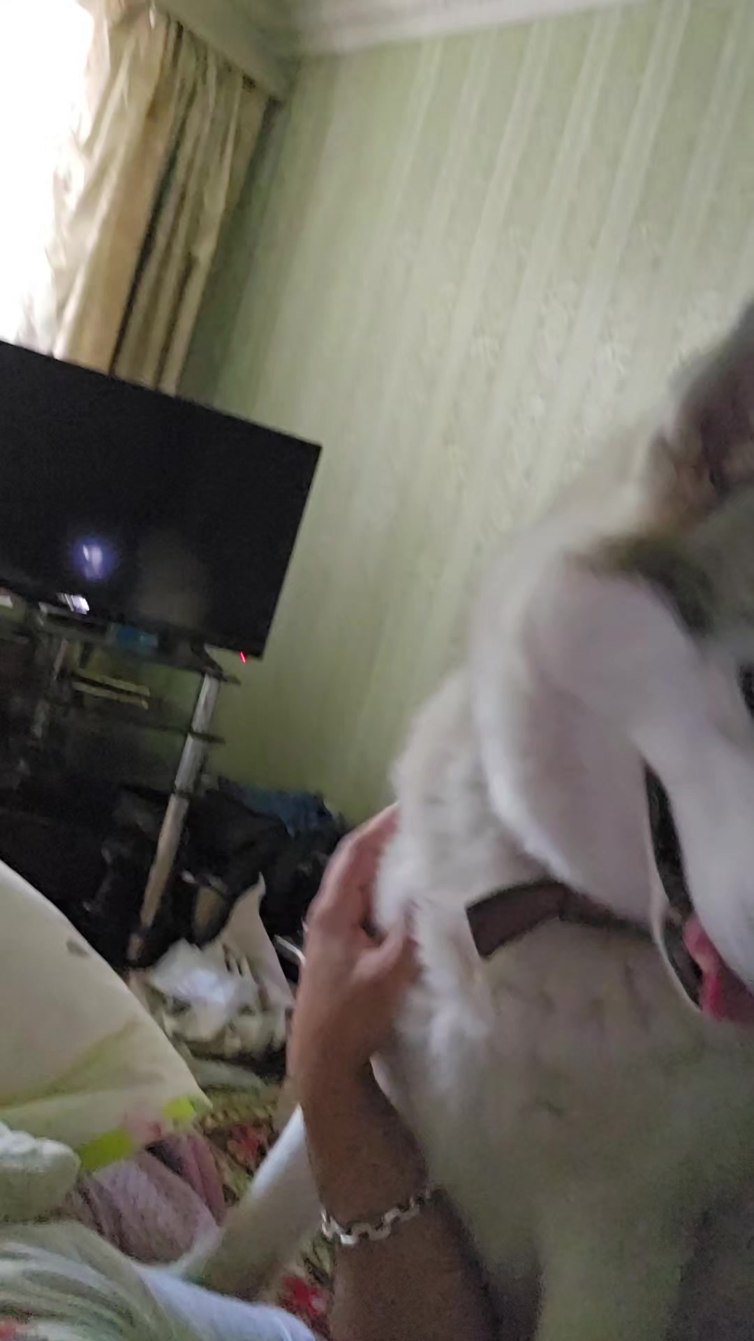 @Тракторист