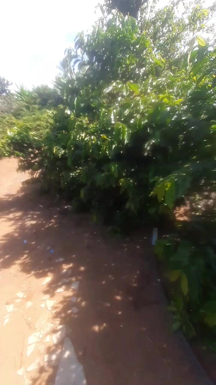 @user98402192588