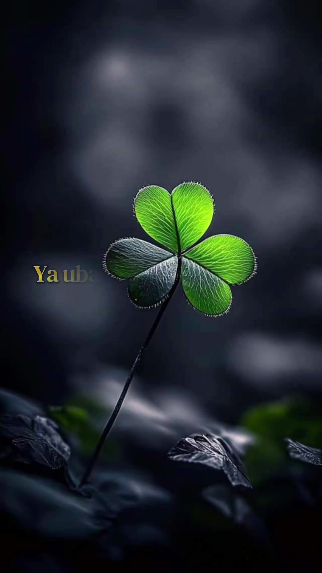 @hidden__soul2