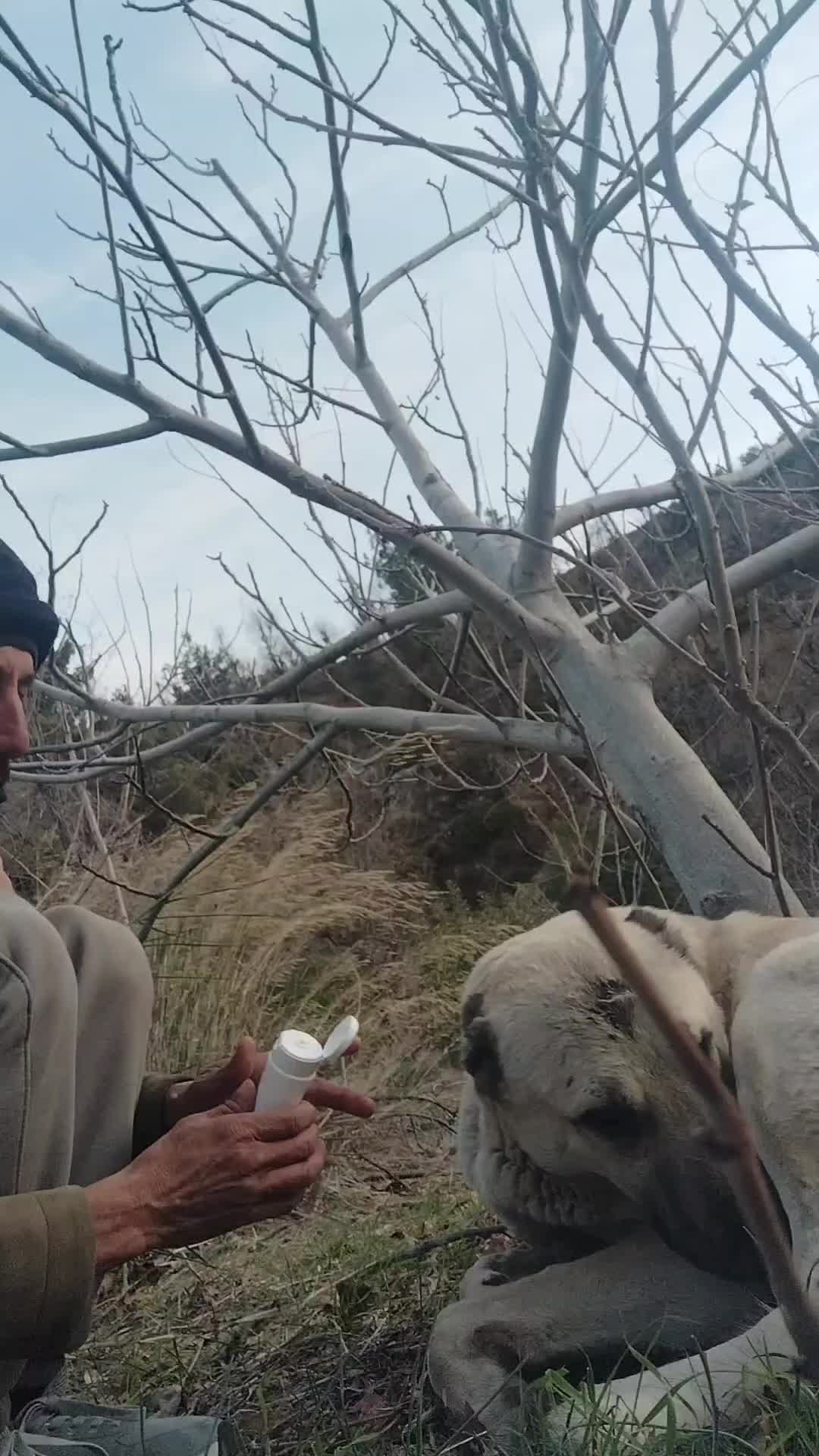 @Kafana_göre