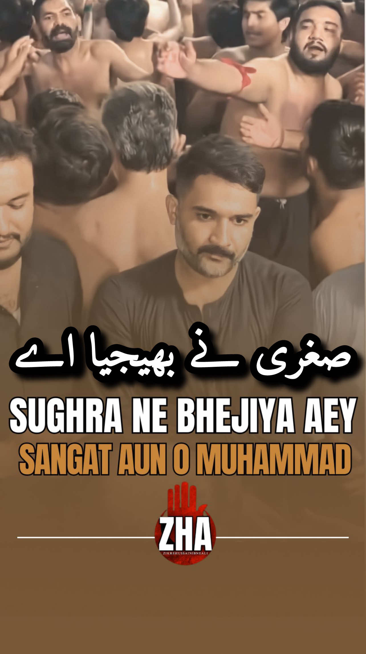 @Zikrehussainibneali