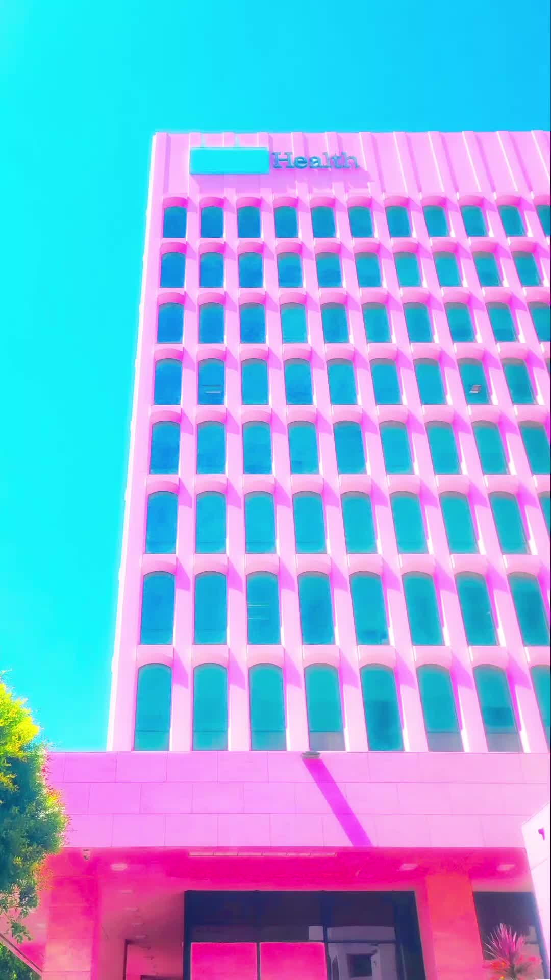 @Davin Del Amo