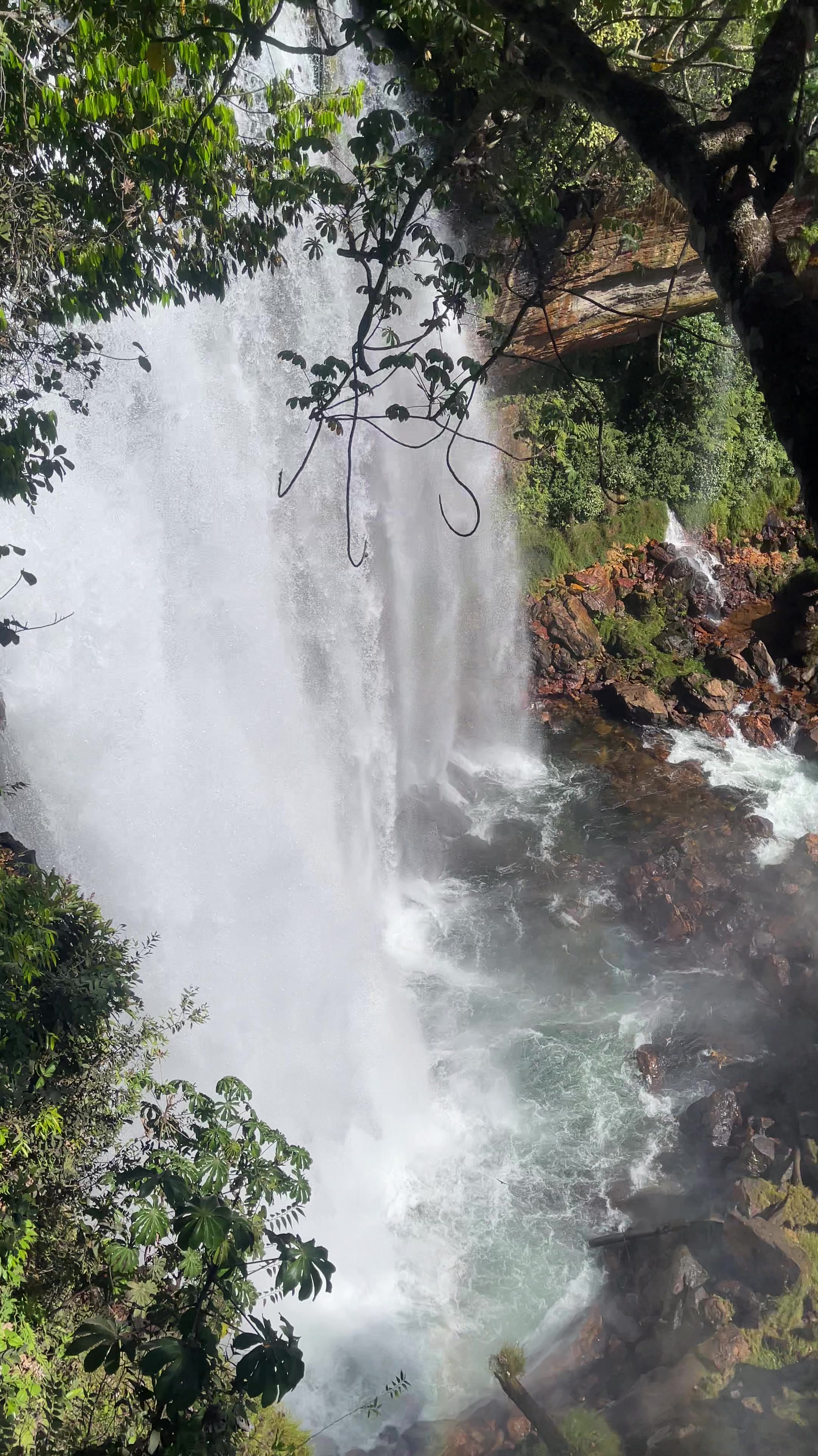 @Quelinha