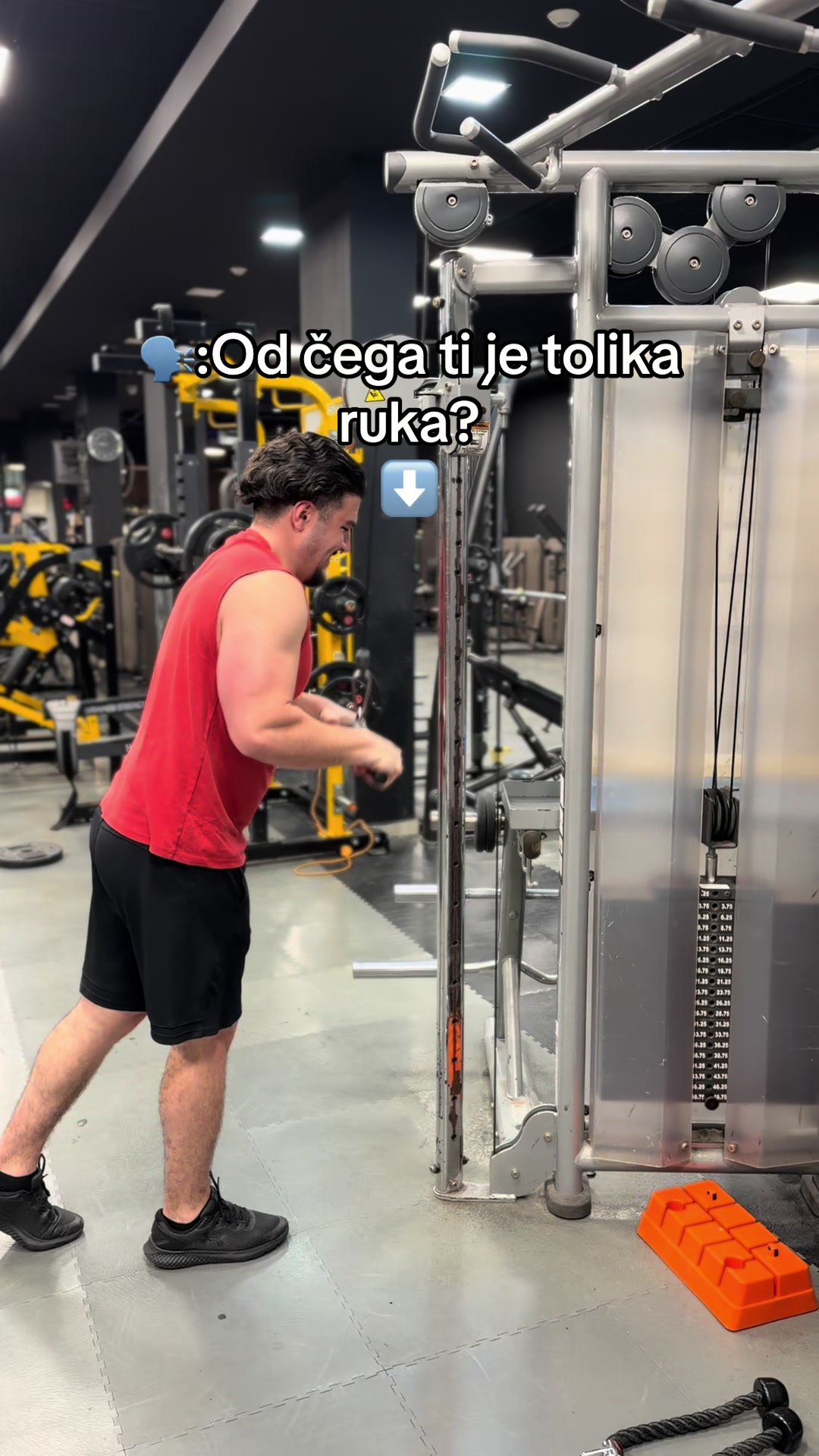 @Dimitrije.Veliki