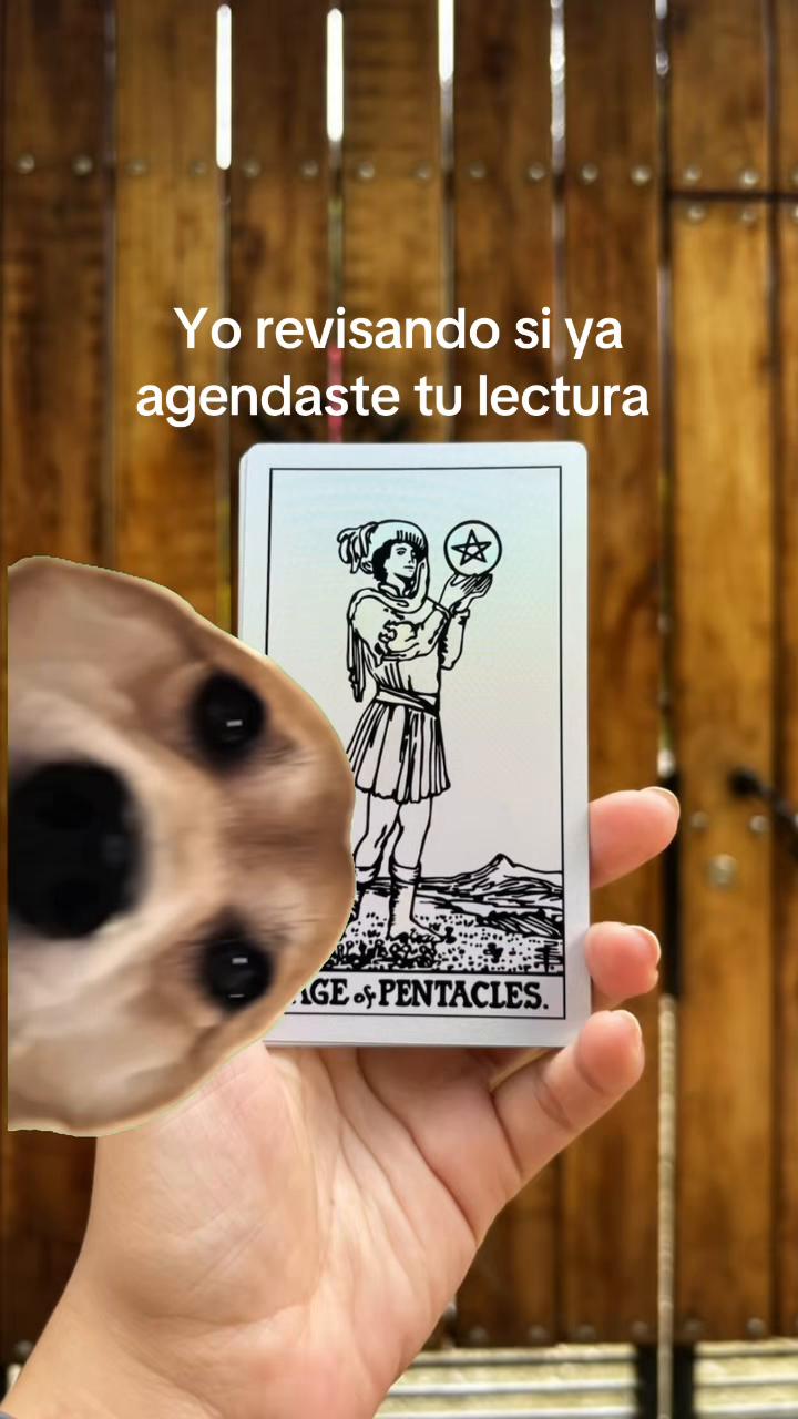 @T de Tarot