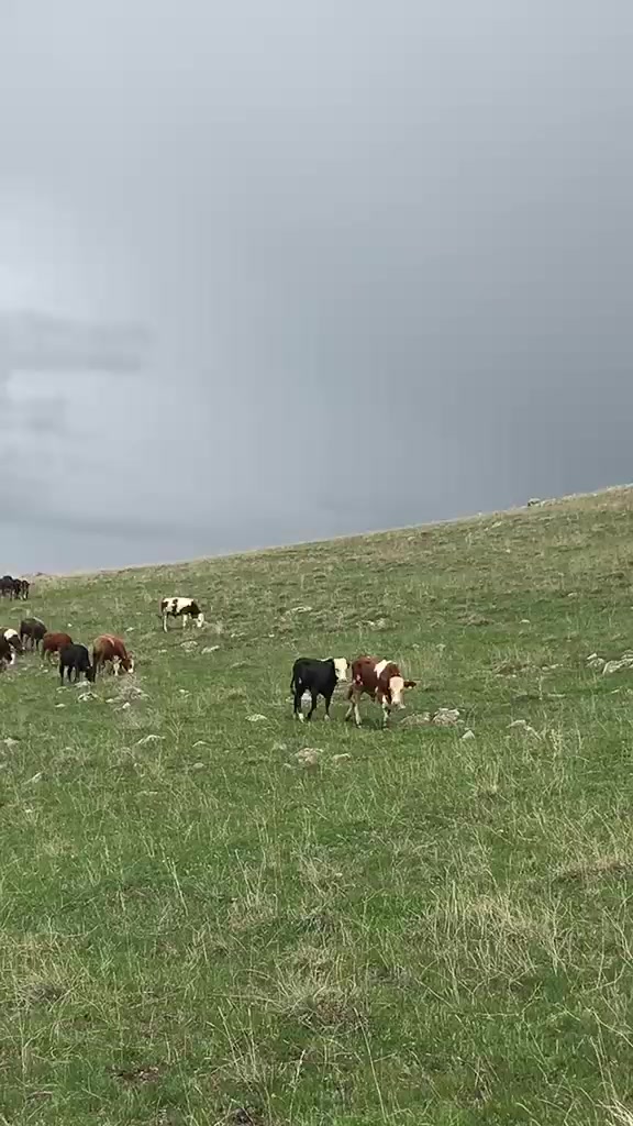 @Emre G&uuml;lmez