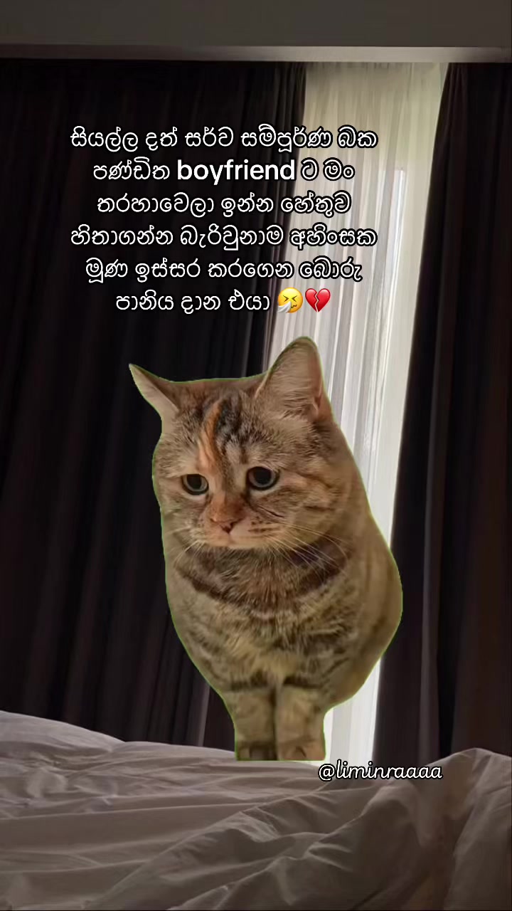 @Lisumi Jayawardana