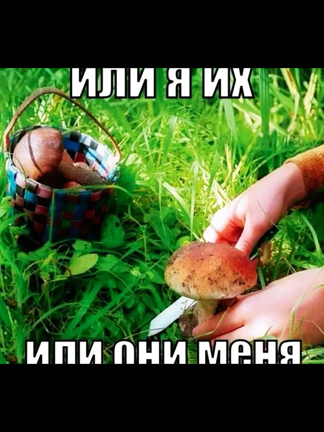 @for fun