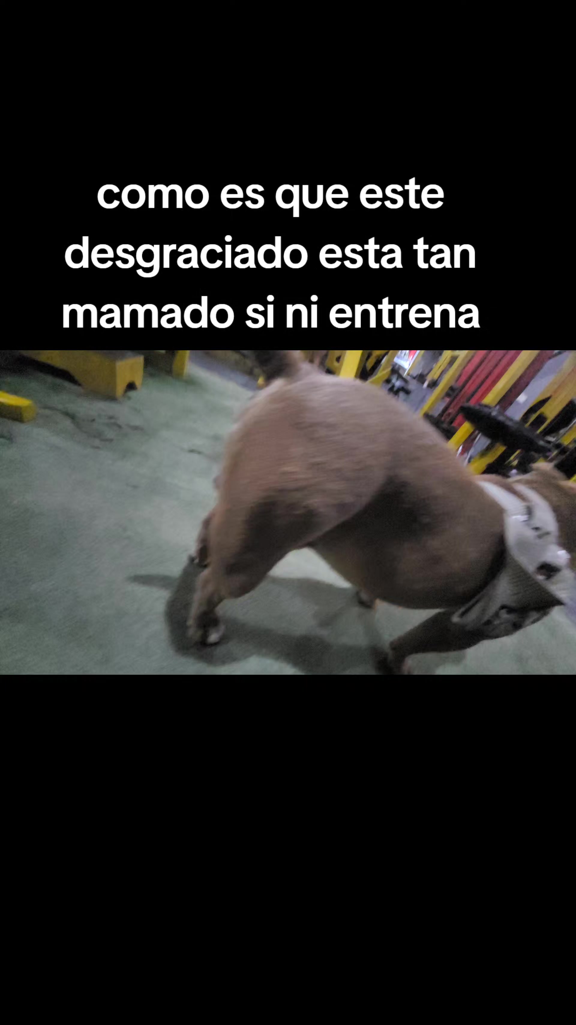 @๐๐๐๐๐ ๐๐๐๐๐๐โ๐