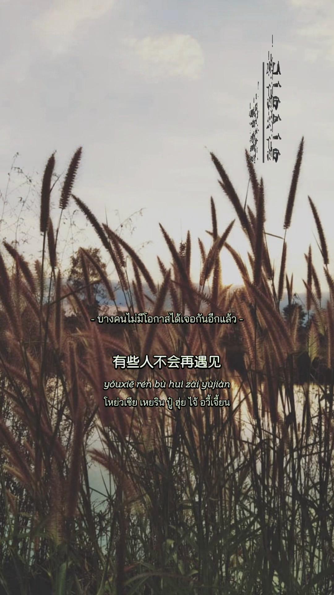 @Namfon.SK5664