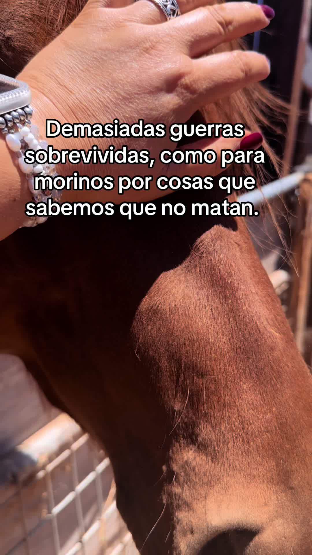 @LaMari