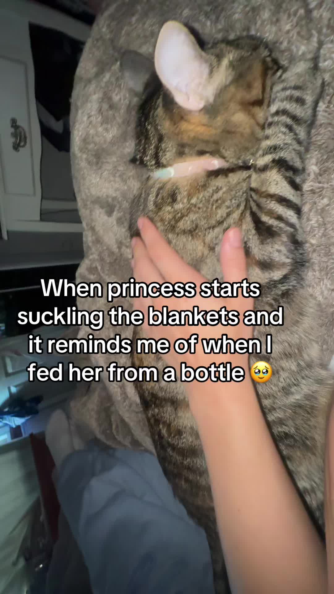 @Kitty Queen
