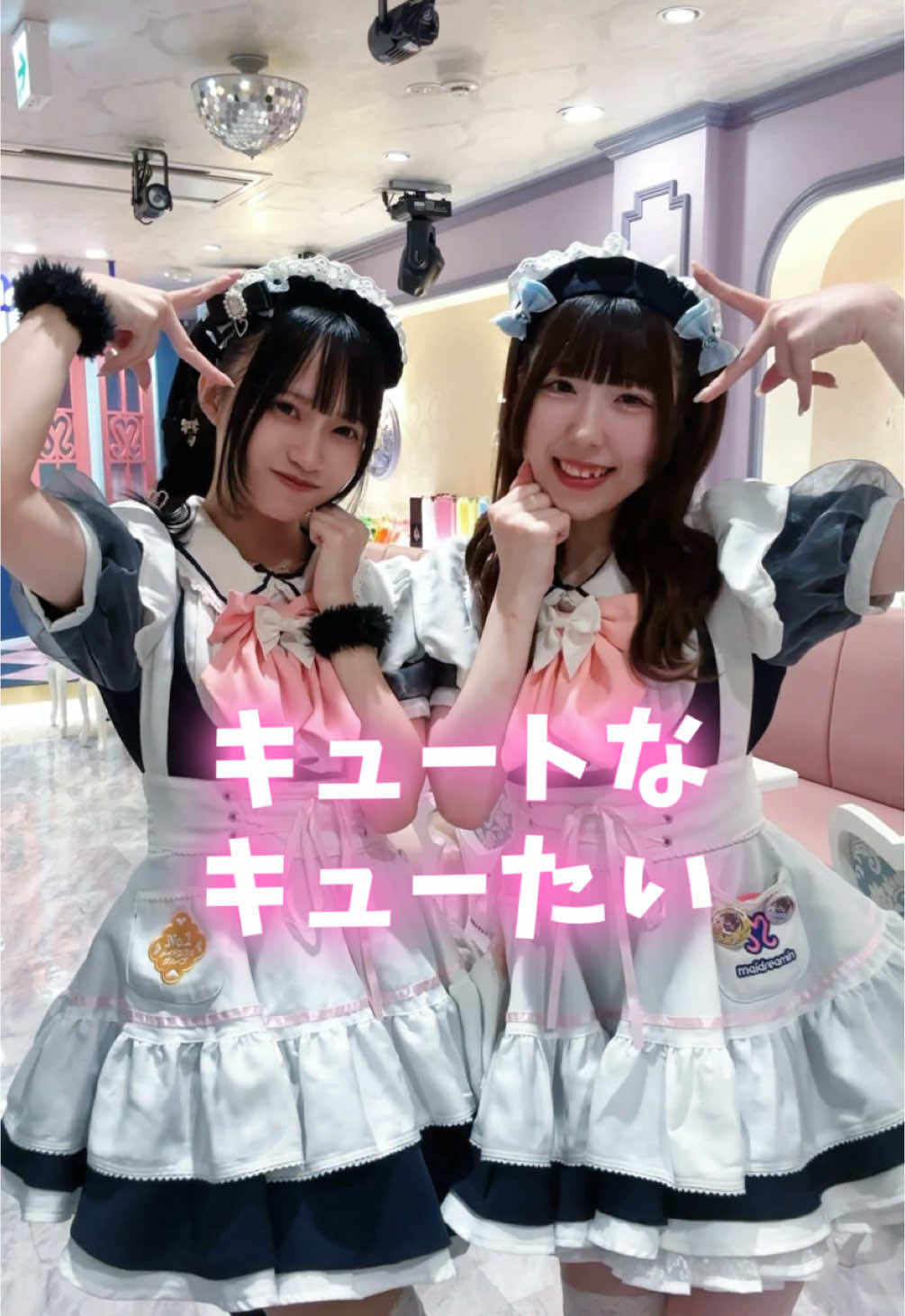 @めいどりーみん大須招き猫前店