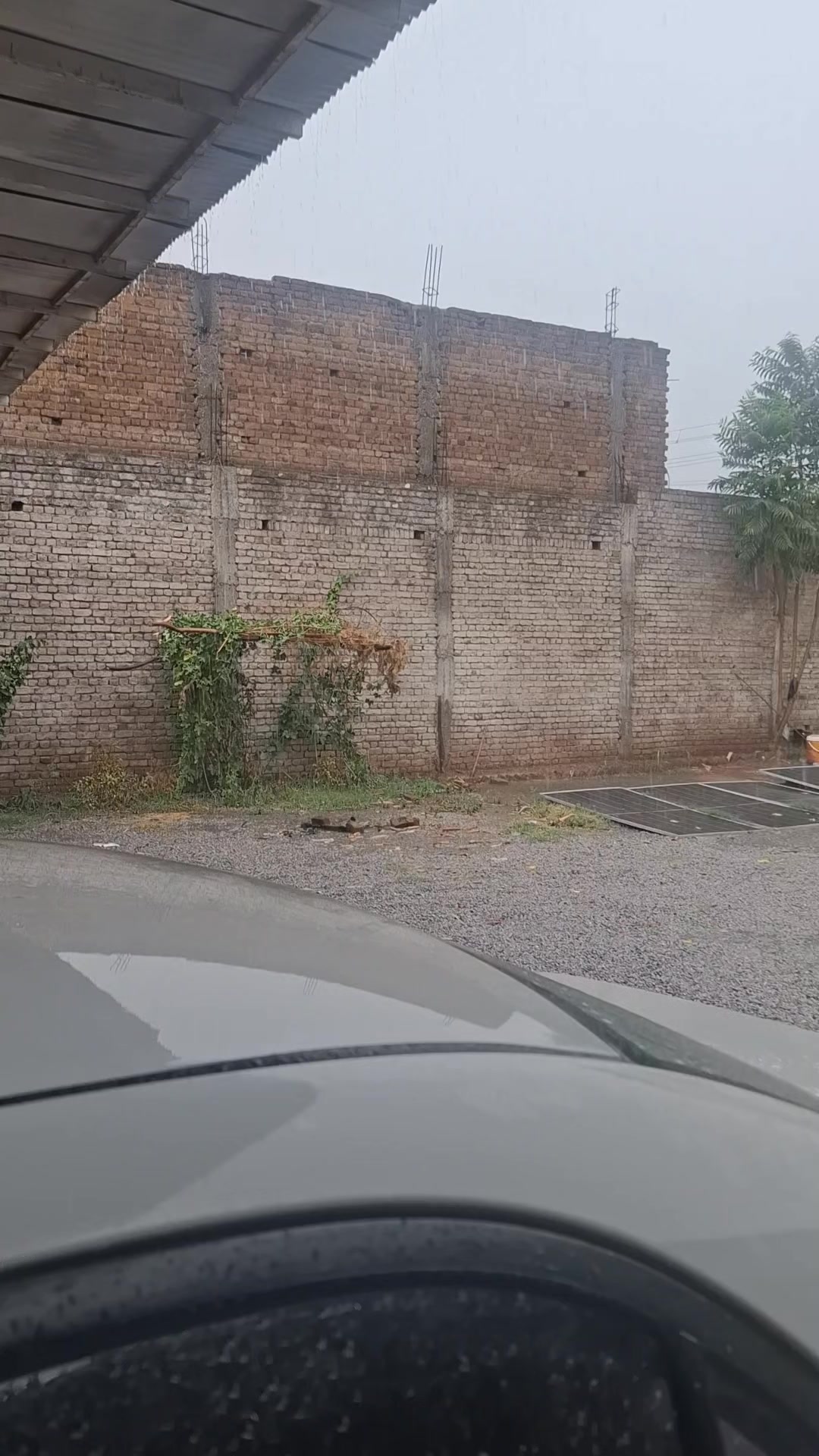 @ZJ