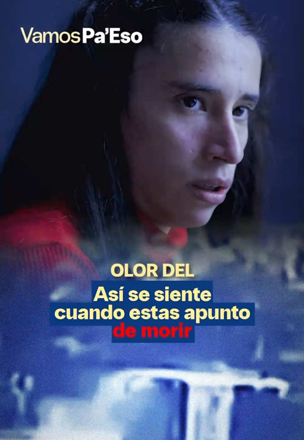 @Vamos pa eso