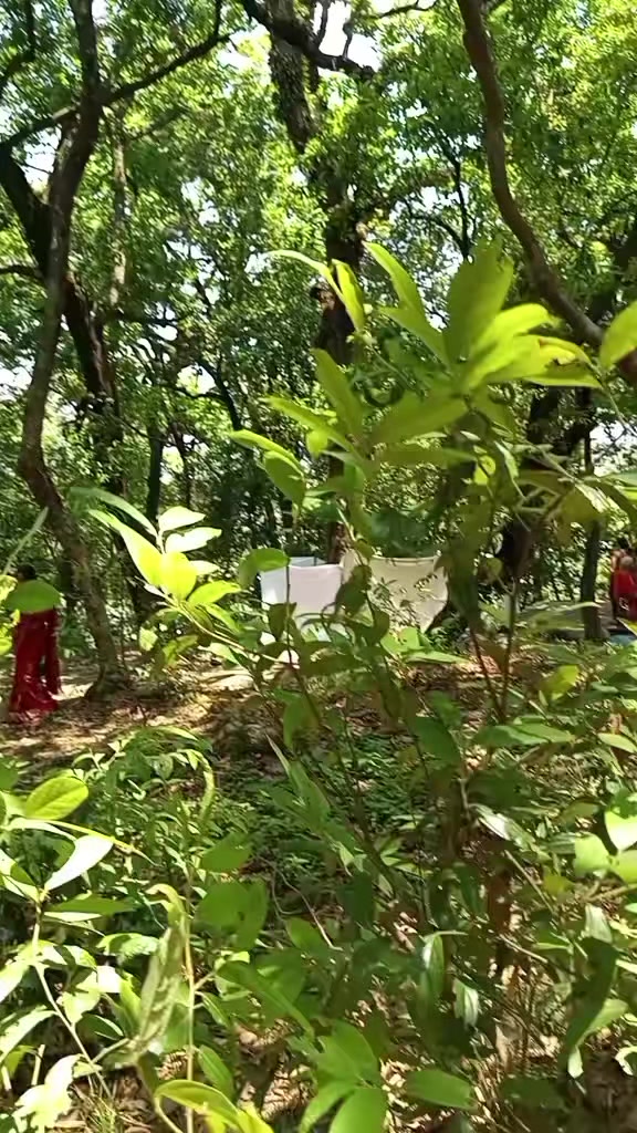 @Saraswati Ghimiree