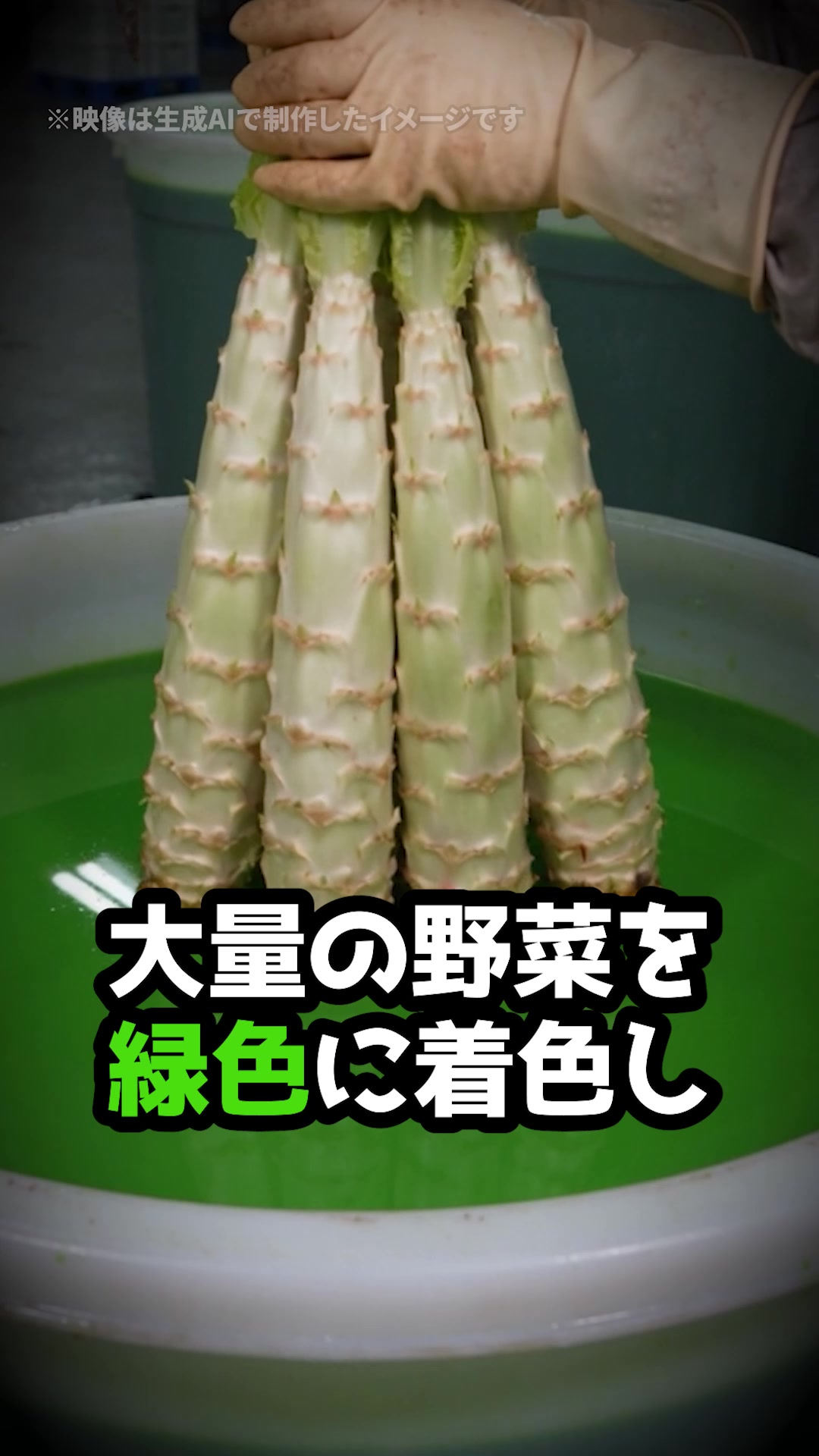 @岡野タケシ弁護士【アトム法律グループ】