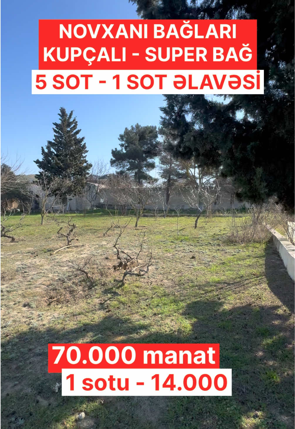 @ABŞERON ƏMLAK N1