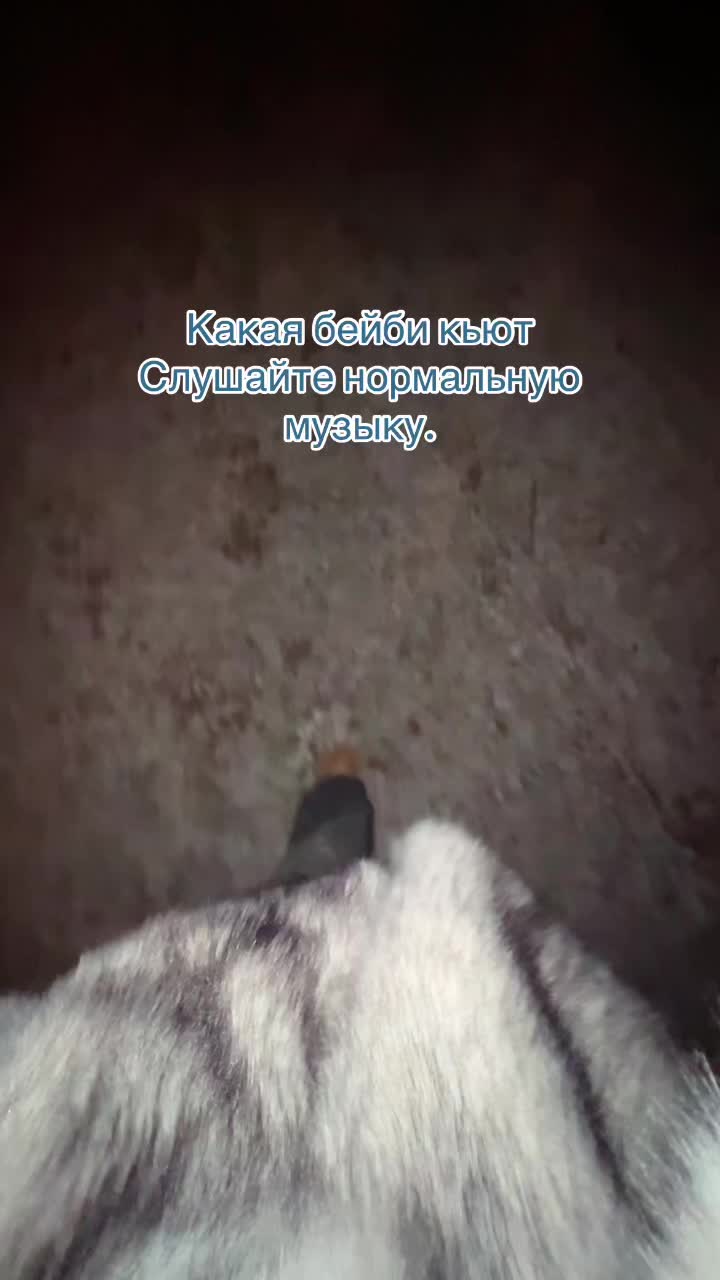 @poleeenaaa