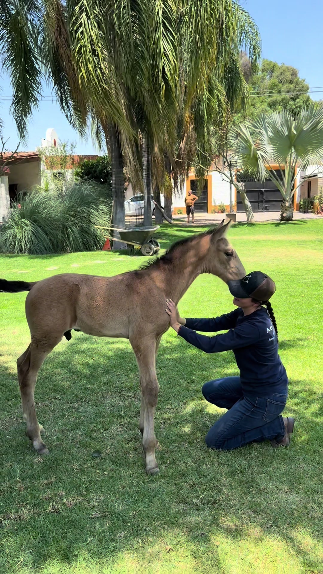 @Melissa Borrayo🤠