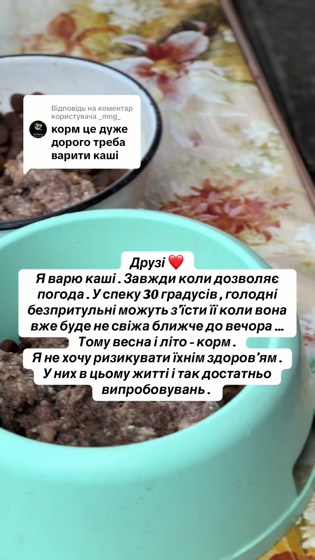 @tanya.help.animal