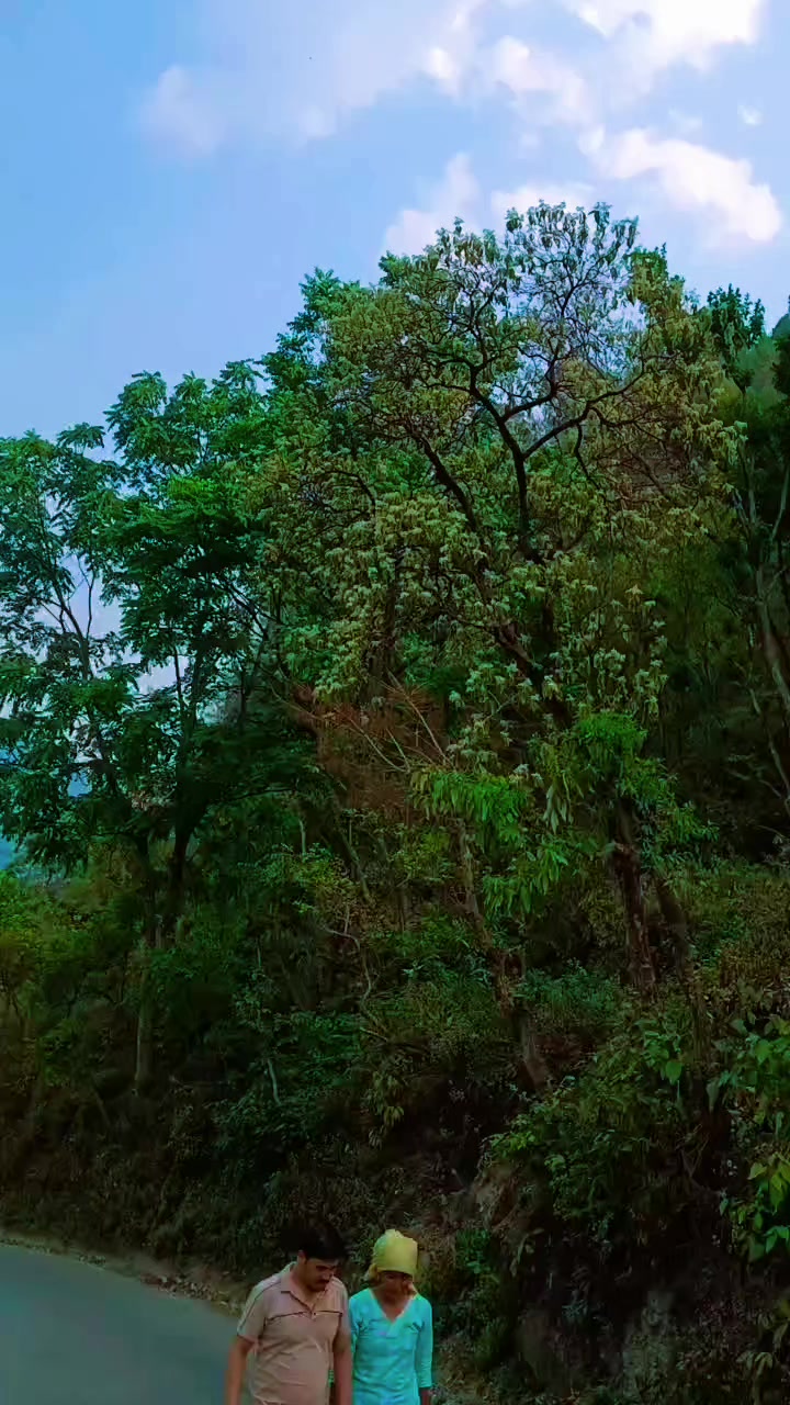 @Shankar Bist