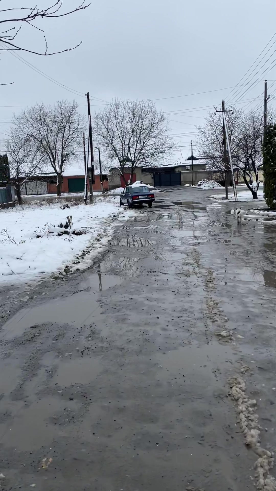 @rasik