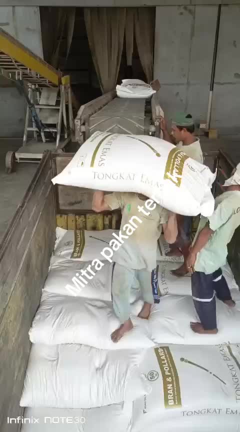 @PT MITRA PAKAN TERNAK