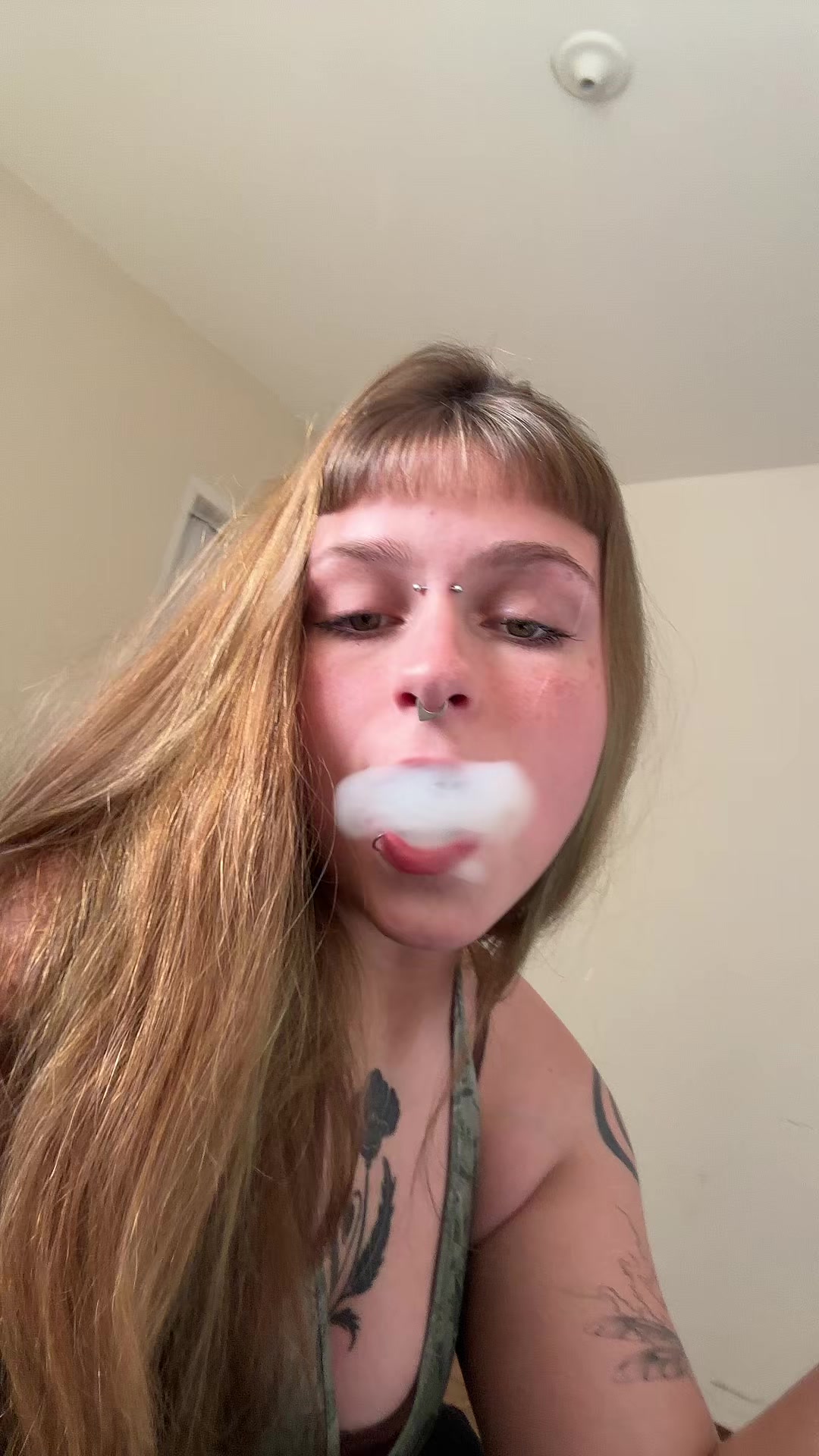 @s0phixnovamente