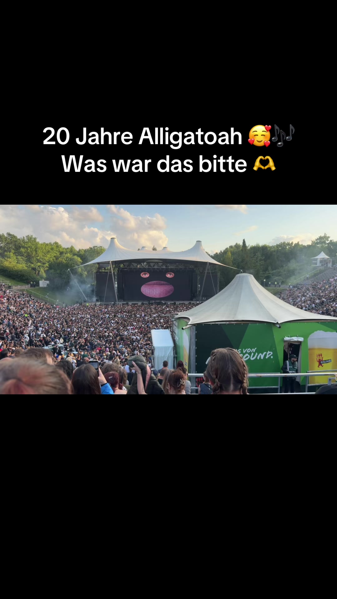 @_vivi.wse_