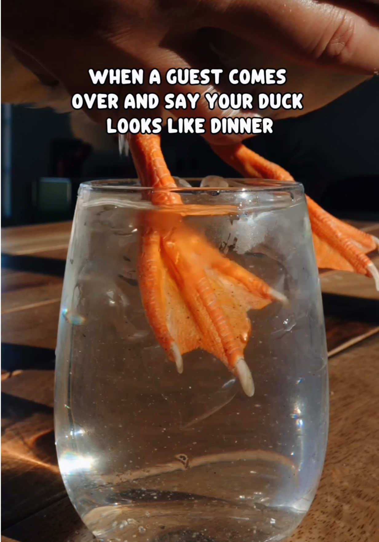 @ducks_in_space🪿🪿💦