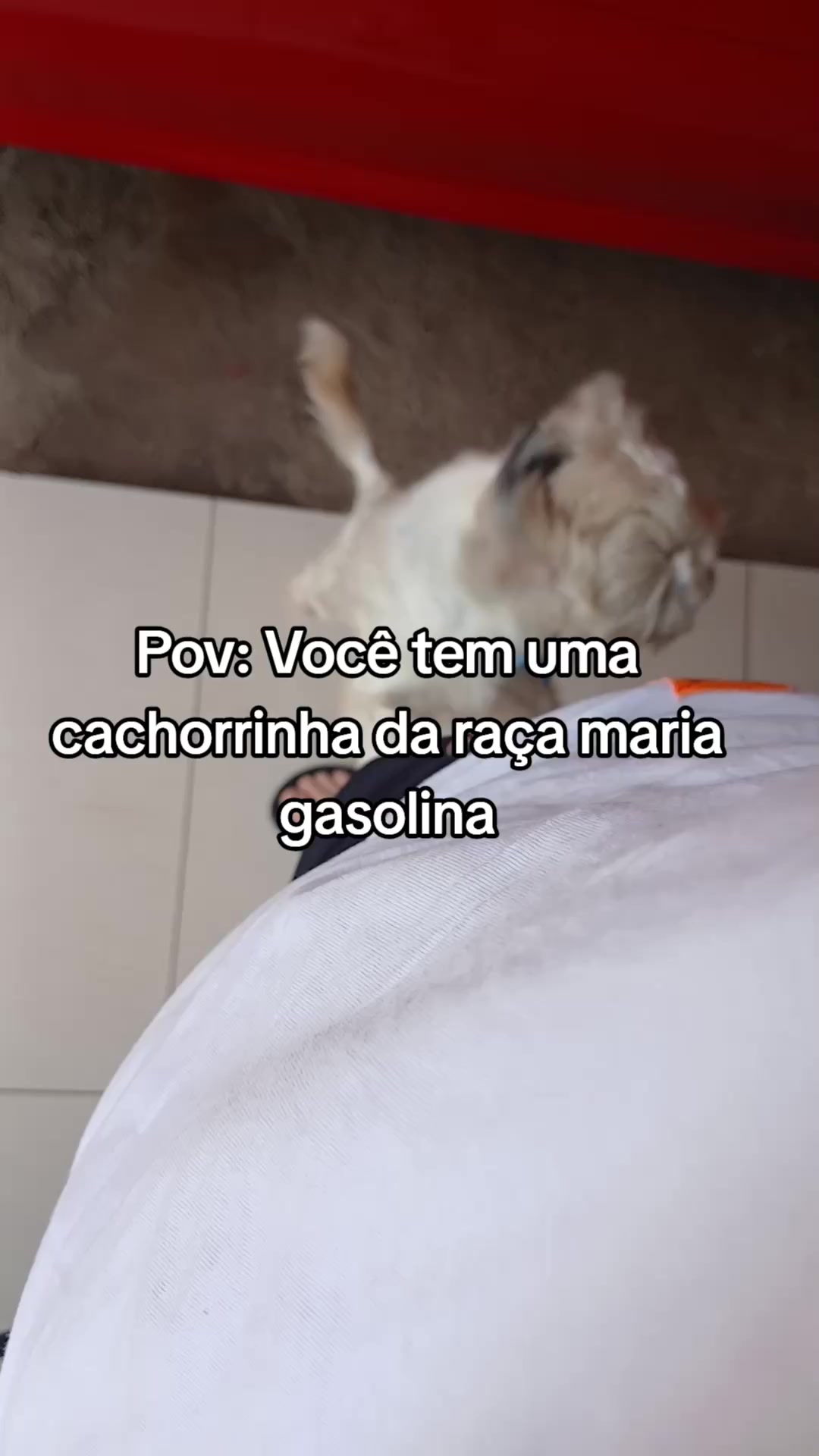 @Adrielli Dias 🏳️&zwj;🌈