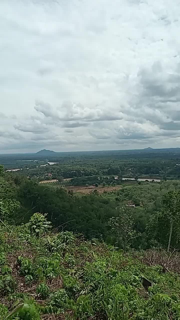 @ulek bulu