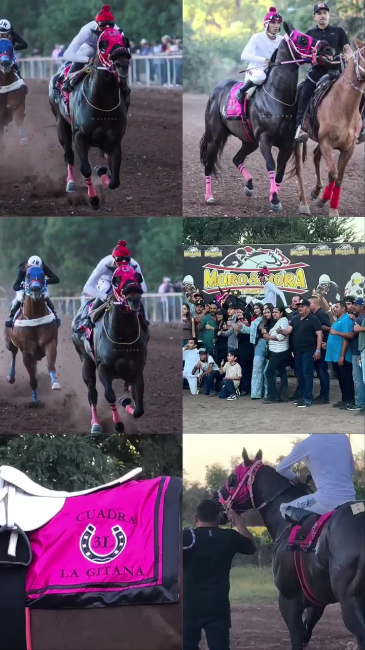 @Anye guzman🏇🏻