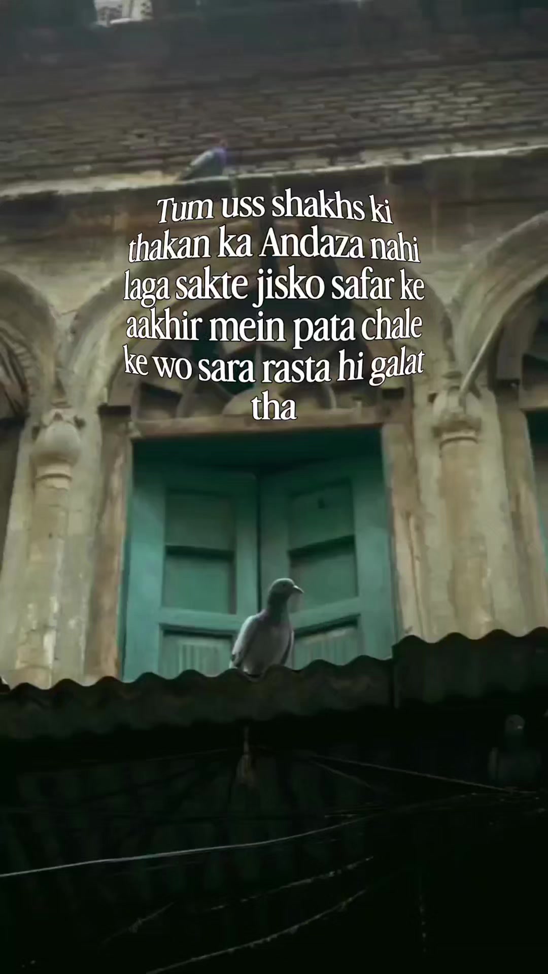 @Ai wali ladki