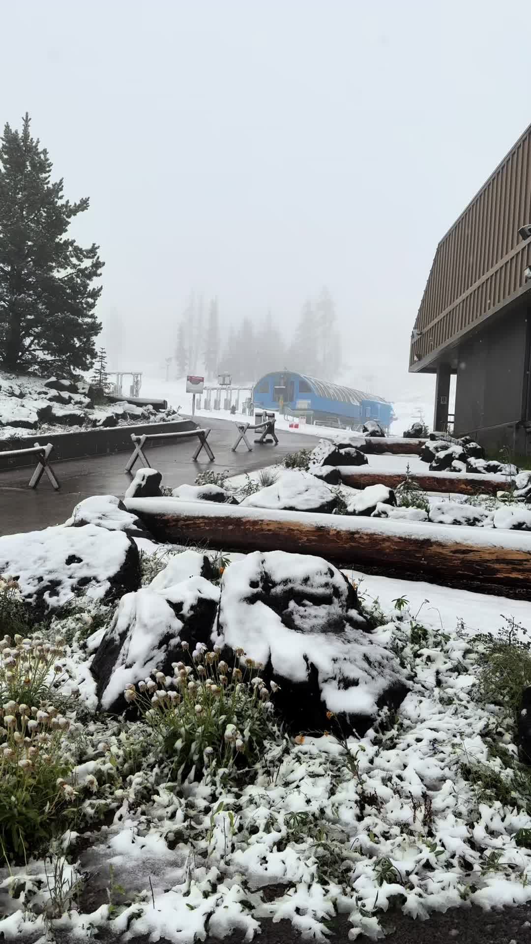 @mt.bachelor