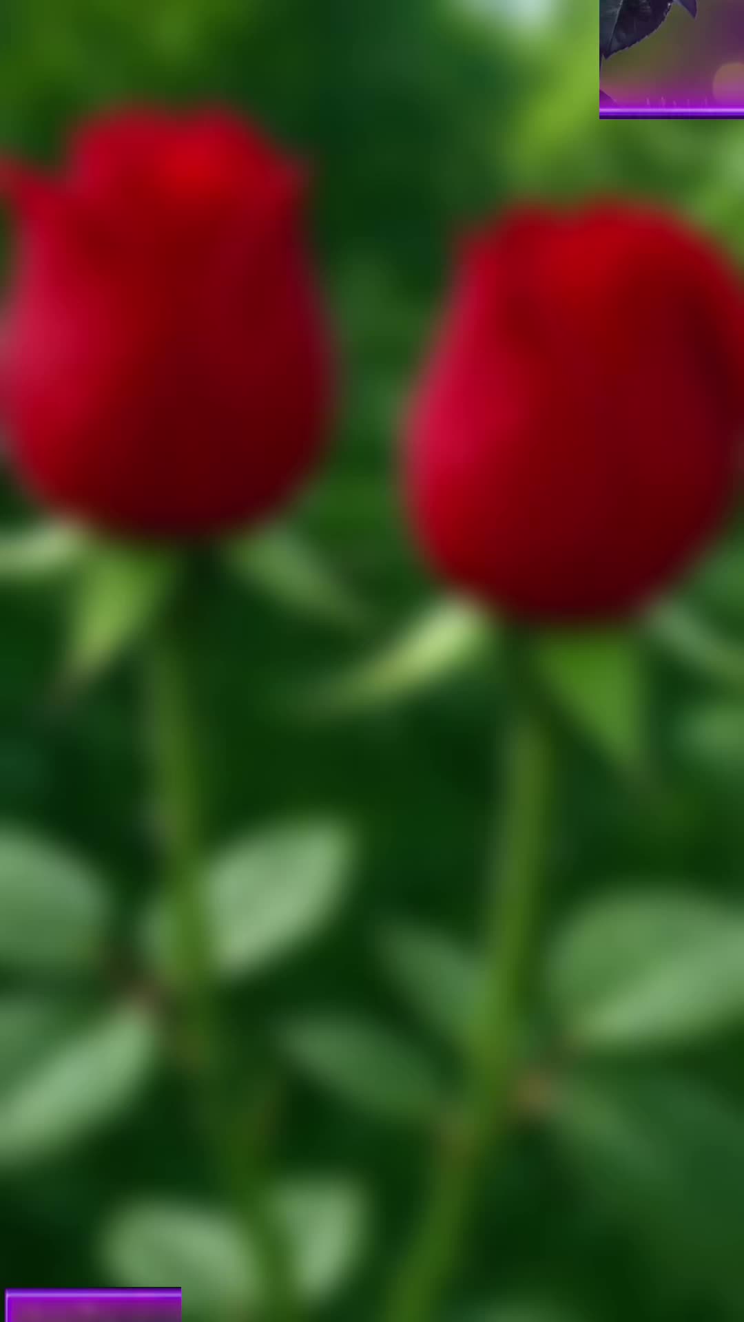 @@L”G💕