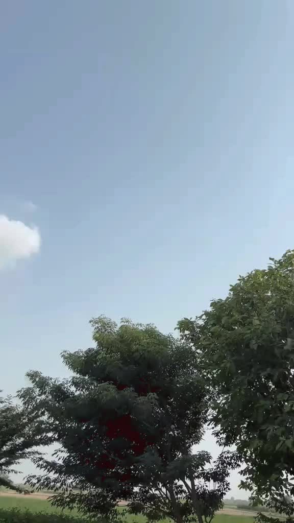 @میاں سیف وٹو 🦁🦅