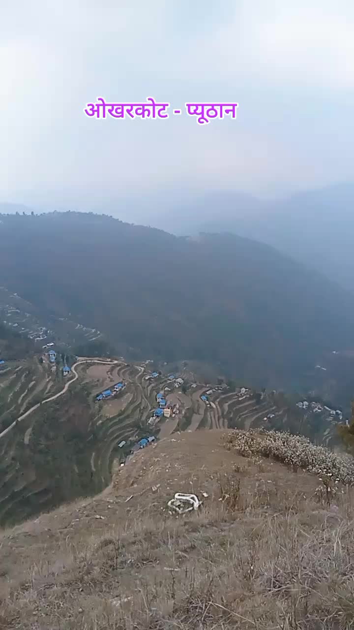 @ajarnews.com