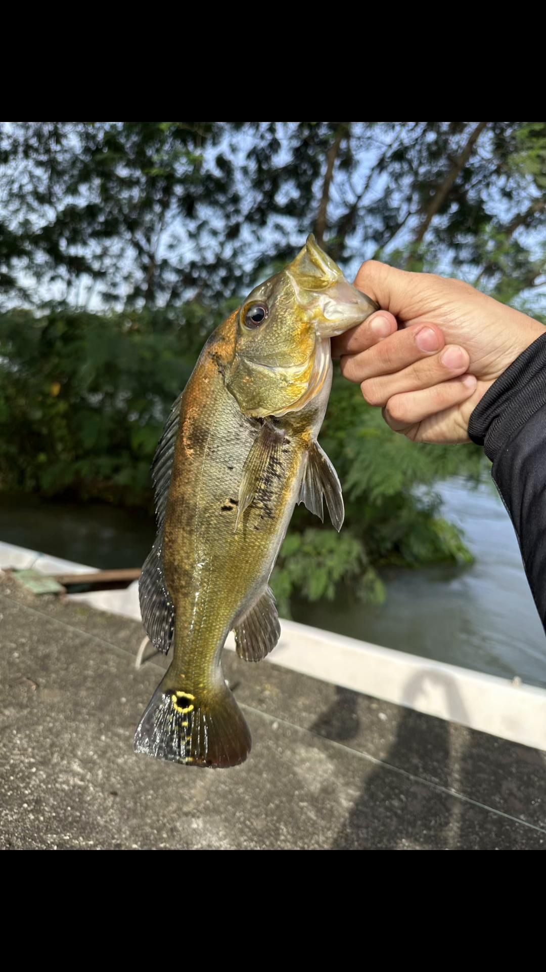 @Bideu Fishing