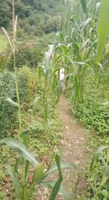 @Ugyen Choden Ugyen