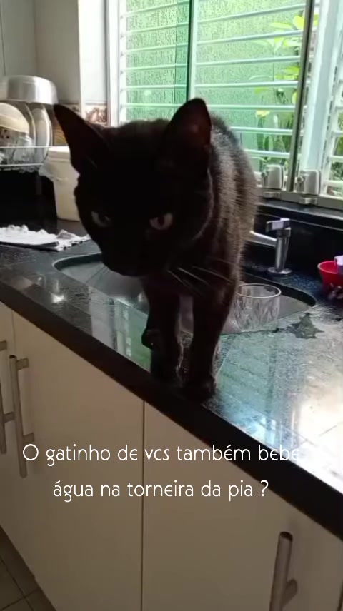 @Iara Brito Brito