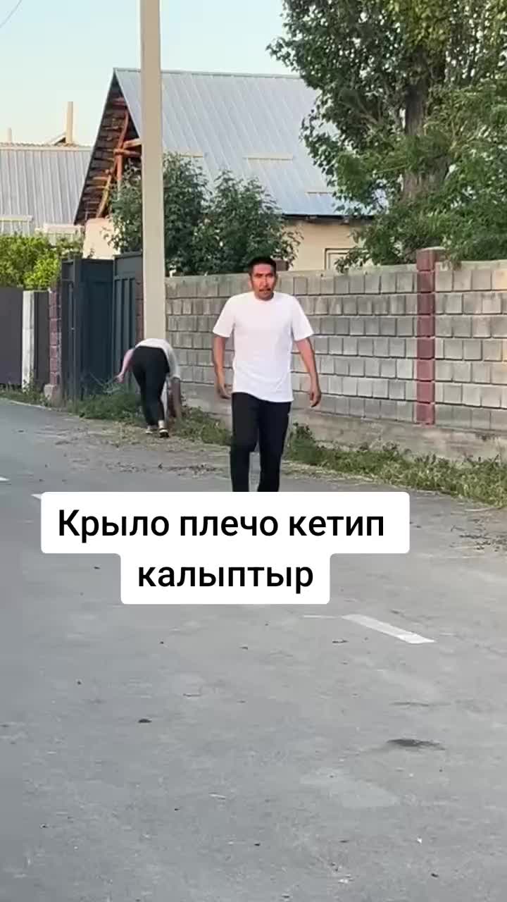@Дикий Карышкыр🐺