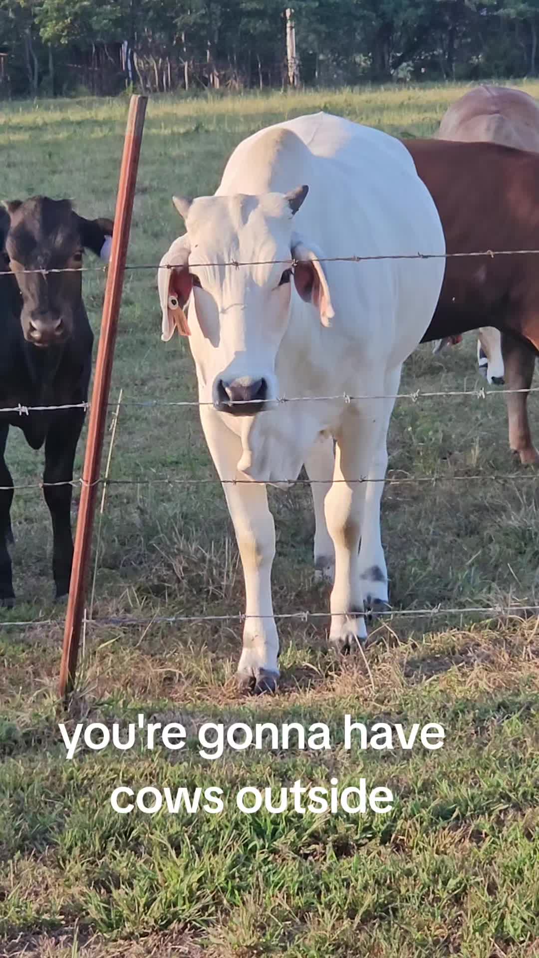 @Davy ❌️Eagon